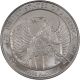 2007 - W American Platinum Eagle (1 Oz) $100 Uncirculated Coin - Burnished Platinum photo 2