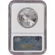 2005 American Platinum Eagle (1 Oz) $100 - Ngc Ms69 Platinum photo 1