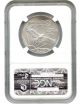 2014 Platinum Eagle $100 Ngc Ms69 (early Releases) Statue Liberty 1 Oz Platinum photo 1