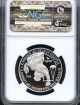 2010 W Platinum Eagle P$100 Early Releases Ngc Pf70 Ultra Cameo Platinum photo 1