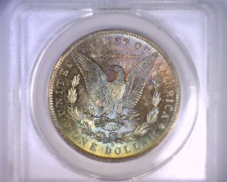 Ms63 Anacs Beautifully Toned 1883o Morgan Silver Dollar U.  S.  Coin 1883 O photo