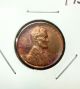 1950 - S 1c Rd Lincoln Wheat Cent Us Coin Small Cents photo 1