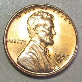 1955 - S Cent Bu Red photo