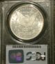 1879 S Morgan Dollar Silver Pcgs Ms65 Frosty White Looks Pl Dollars photo 1