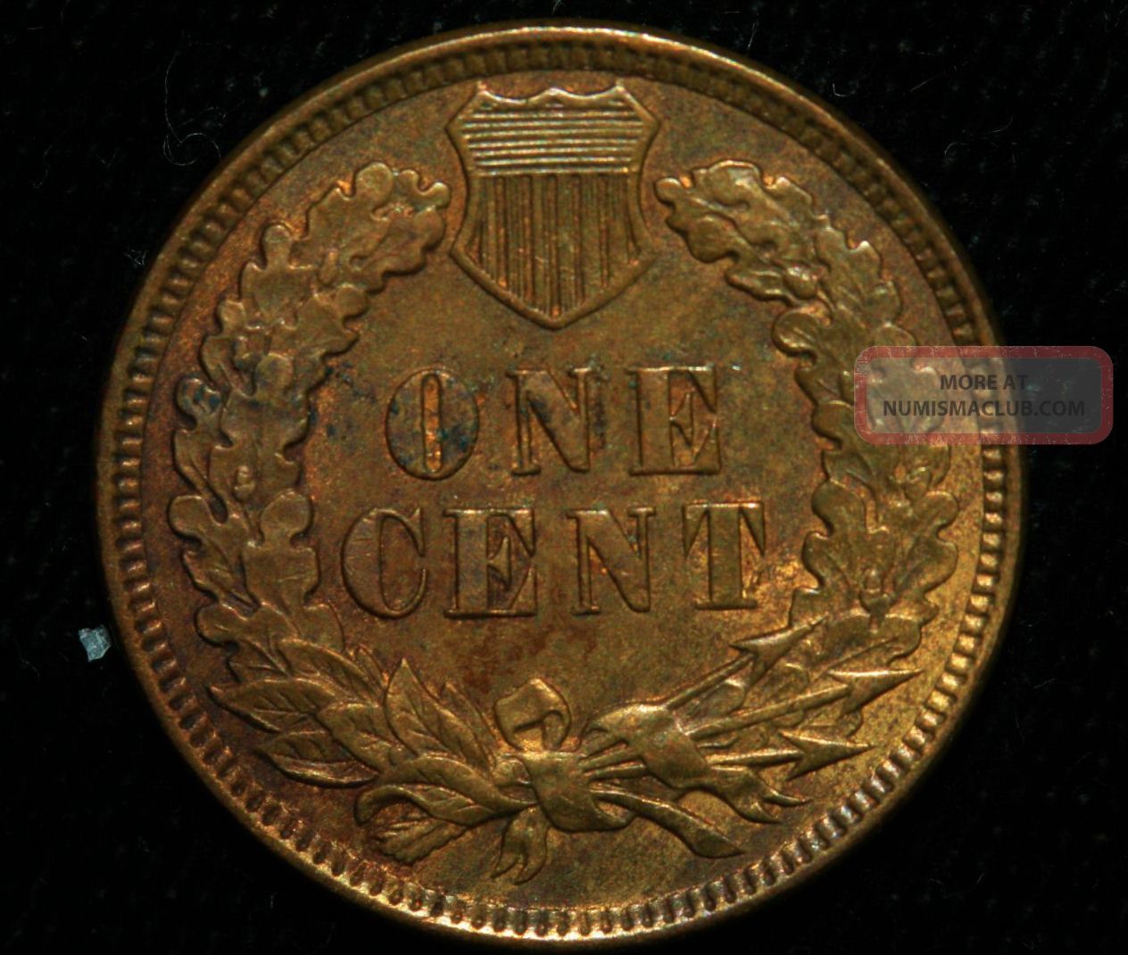 1907 Indian Head Cent Coin