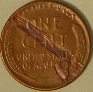 1955 P Lincoln Wheat Penny (lamination Before Strike) Error Coin,  Aj 210 photo