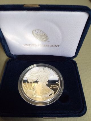 American Eagle One Ounce Proof Siver Coin 2013 photo