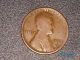 1913 P & D Lincoln Wheat Cents Small Cents photo 4