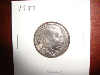 1937 Buffalo Nickel Coin photo