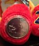 50 State Quarters - Florida Coin Bear Limited Treasures Quarters photo 1