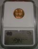 Ngc 1995 Ms67 Rd Ddo 1c Lincoln Penny Double Die Obverse. . . .  3 Day Return Small Cents photo 3