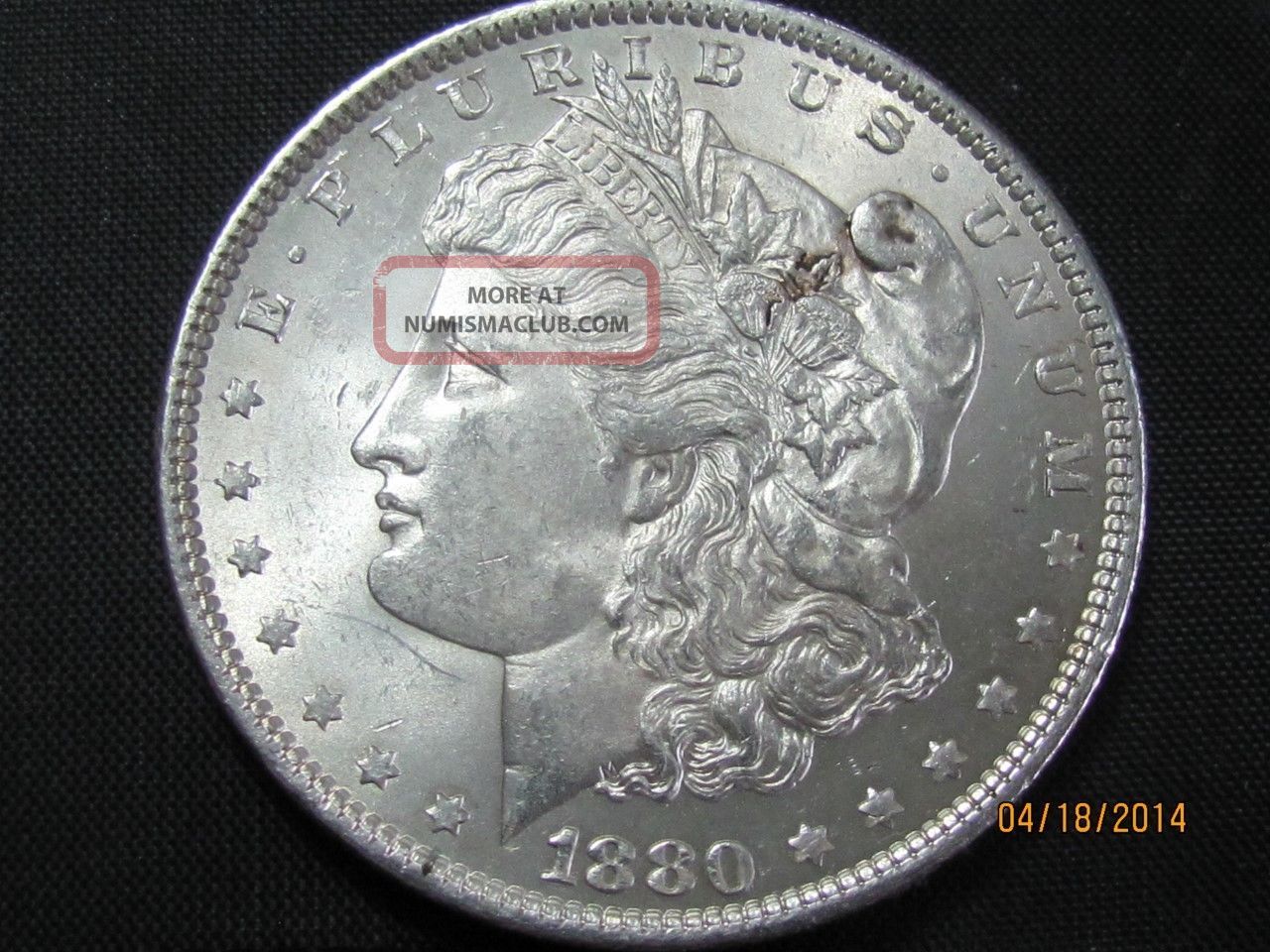 43 dollar 43 dollar
