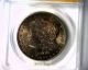 Ms63 Anacs Beautifully Toned 1882s Morgan Silver Dollar U.  S.  Coin 1882 S Dollars photo 1