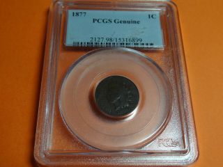 1877 Indian Head Cent Pcgs photo