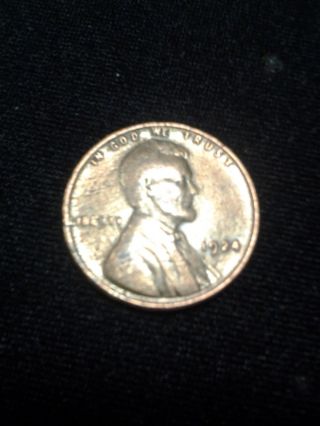 1924 1c Wheat Lincoln Penny For The Year photo