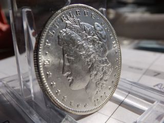 1901o Morgan Ms Stunning Rare Low Coin Collector Coin photo