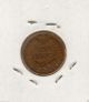 1903 Indian Head Cent Small Cents photo 1