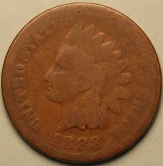 1883 Indian Head Penny,  Ac - 879 photo