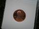 1979 S Lincoln Cent Deep Cameo Proof Type 1 Small Cents photo 5