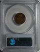 1928 - D Lincoln Cent Pcgs Ms - 63rb. . .  Pretty Rainbow Toning,  Pq Coin Small Cents photo 6