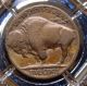 Very Good 1926 - P Indian Head (buffalo Nickel). .  8224 Nickels photo 1