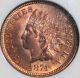 Rare 1874 Indian Head Cent Ngc Ms - 65rd Highest Graded One On Ebay Small Cents photo 2