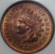 Rare 1874 Indian Head Cent Ngc Ms - 65rd Highest Graded One On Ebay Small Cents photo 5