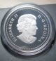 2004 Proof $5 Saskatchewan Centenary Canada.  9999 Silver Coin Only Coins: Canada photo 3