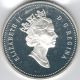 Tmm 1991 Silver Canada Commemorative Dollar Frontenac Proof Coins: Canada photo 1