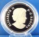 2013 Blue Flag Iris $20 Fine Silver Proof Coin Full Color + 3 Swarovski Crystals Coins: Canada photo 4