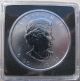 2011 $5 1oz.  9999 Silver Maple Leaf Sml Grizzly Bear Full Colour Canada Coins: Canada photo 2