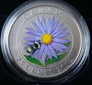 2012 - Canadian 25 Cents Colored Aster And Bumblebee Coin And photo