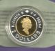 Canada 2000 Silver And Gold Twoonie Proof Mother Polar Bear & Cubs Coin And Coins: Canada photo 1