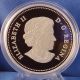 Canada 2014 Bison: A Portrait,  1 Oz Pure Silver Mintage 7,  500 Coin 1 In Series Coins: Canada photo 3