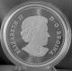 Canada 2014 Bison: A Portrait,  1 Oz Pure Silver Mintage 7,  500 Coin 1 In Series Coins: Canada photo 4