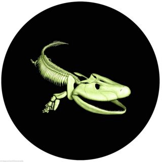 Canada 2014 Prehistoric Creatures Tiktaalik,  25 - Ct Coloured Glow - In - Dark Coin photo