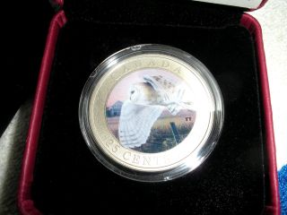 2013 Barn Owl - Colored Specimen 25 - Cent Coin – 