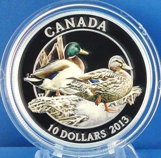 2013 Mallard Ducks Mated Pair Fine Silver Full Color Coin Only 10,  000 Minted photo