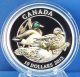 2013 Mallard Ducks Mated Pair Fine Silver Full Color Coin Only 10,  000 Minted Coins: Canada photo 2