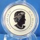 2013 $20 Iceberg And Whale - Fine Silver (99.  99% Pure) Coin - Limited Mintage Coins: Canada photo 2