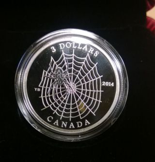Canada - Fine Silver Coin - Animal Architects: Spider And Web (2014) photo
