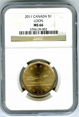 2011 Canada Loon Loonie Dollar Ngc Ms66 Uncirculated State Strike Version photo