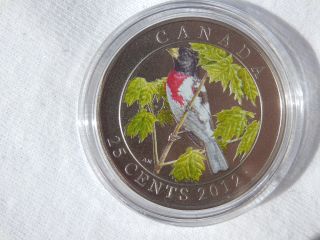 2012 Birds Of Canada $0.  25 Coloured - Rose - Breasted Grosbeak And photo
