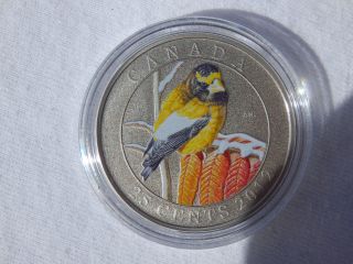 2012 Birds Of Canada $0.  25 Coloured - Evening Grosbeak With And photo