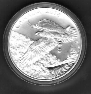 2014 $100.  00 The Majestic Bald Eagle 99.  99% Pure Silver & Protective Box photo