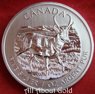 Silver Coin 1 Oz 2013 Canada Pronghorn Antelope Wildlife Series.  999 Pure Bu photo