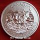 Silver Coin 1 Oz 2013 Canada Pronghorn Antelope Wildlife Series.  999 Pure Bu Coins: Canada photo 2