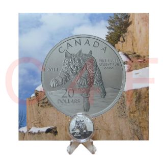 2014 - Canada - Bobcat - Pure Silver Coin.  12th Coin In $20 For $20 Series photo