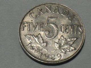 1929 Canadian Nickel (xf+) 3811 photo