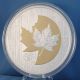 Canada 2013 25th Anniversary Sml $50 5 Oz.  Pure Silver,  Selective Gold Plating Coins: Canada photo 5